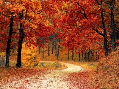 Featured Image For 9 Fall Event Ideas to Transition Your Team into a New Season Team Building Post